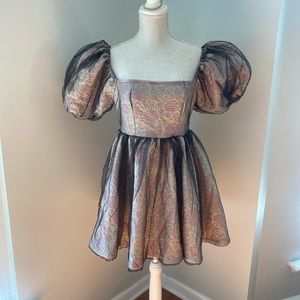 Shein Tapestry Floral Print Puff Sleeve Cupcake Dress w Black Net Overlay